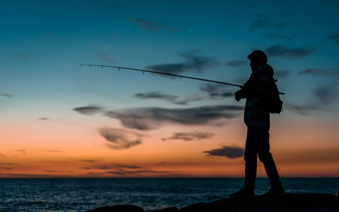 Shallow Water Bass Fishing: Tips and Techniques