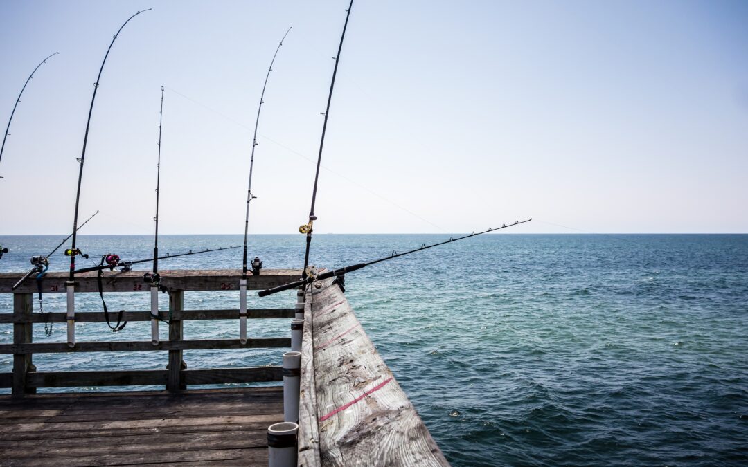 Mastering Saltwater Pier Fishing: Tips and Tricks Along The Coast