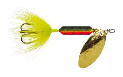 Freshwater Fishing with a Rooster Tail Lure